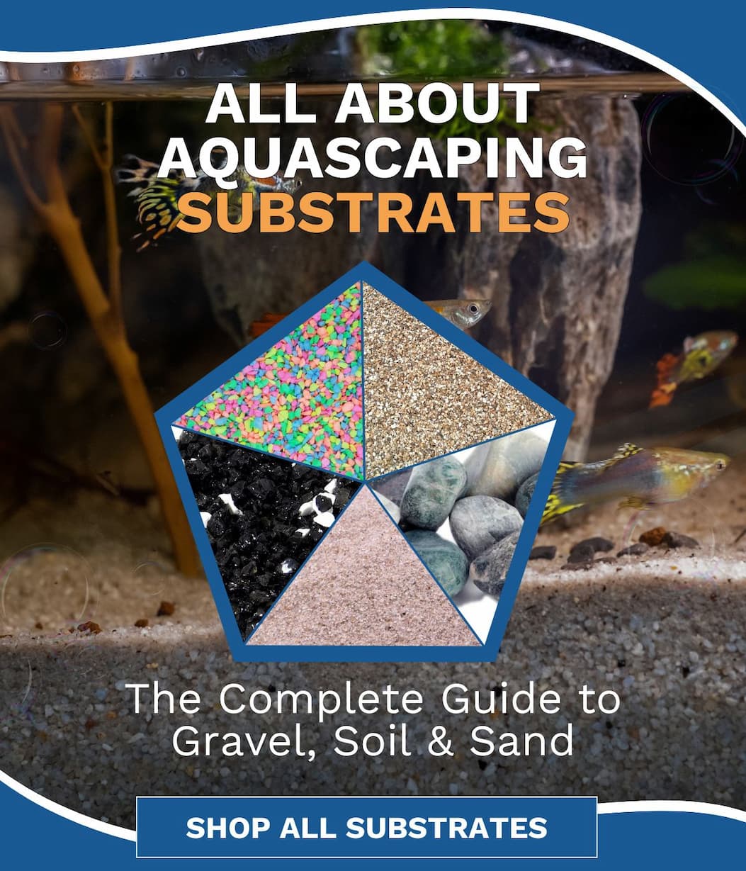 Aquacadabra - Aquatic Substrates: What’s Best for Your Tank? 🌿 Aquatic ...