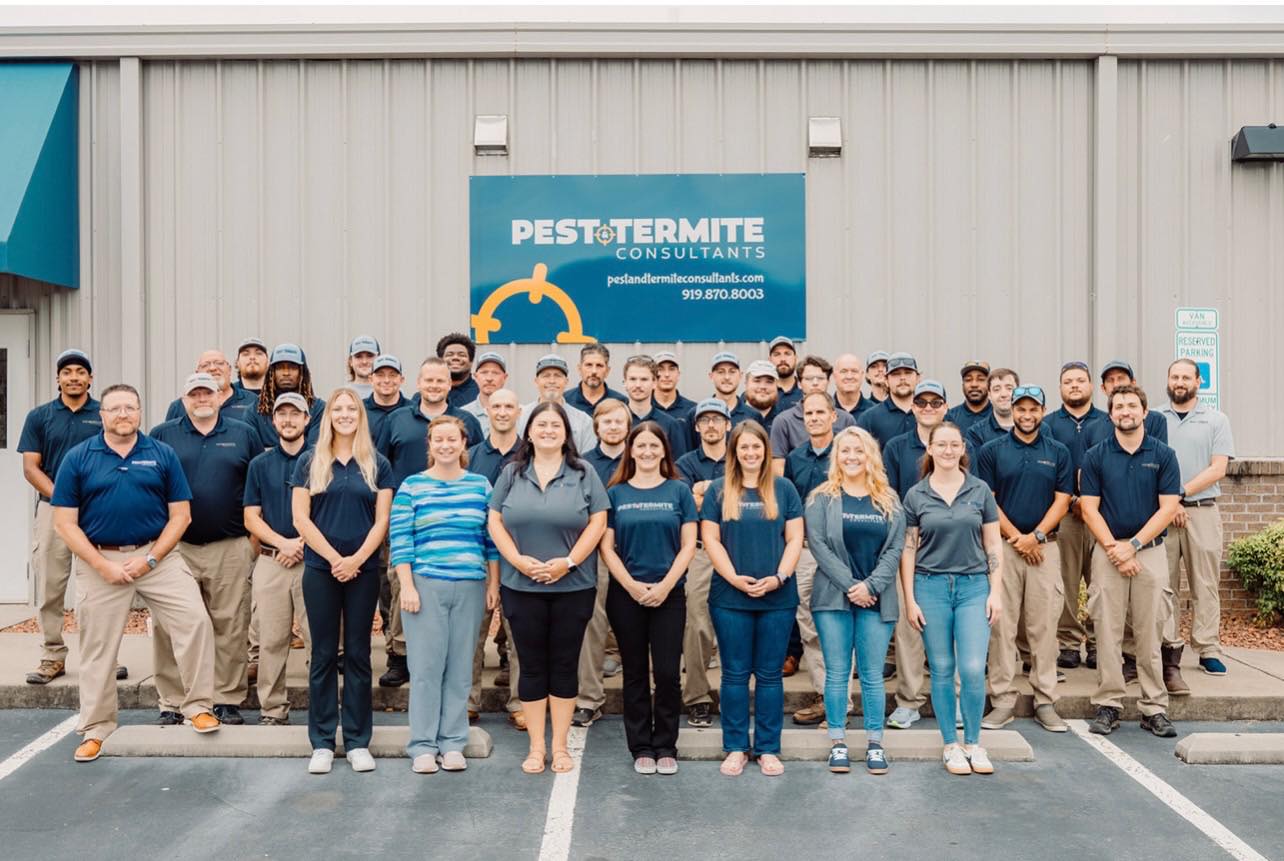 Pest & Termite Consultants | Raleigh NC