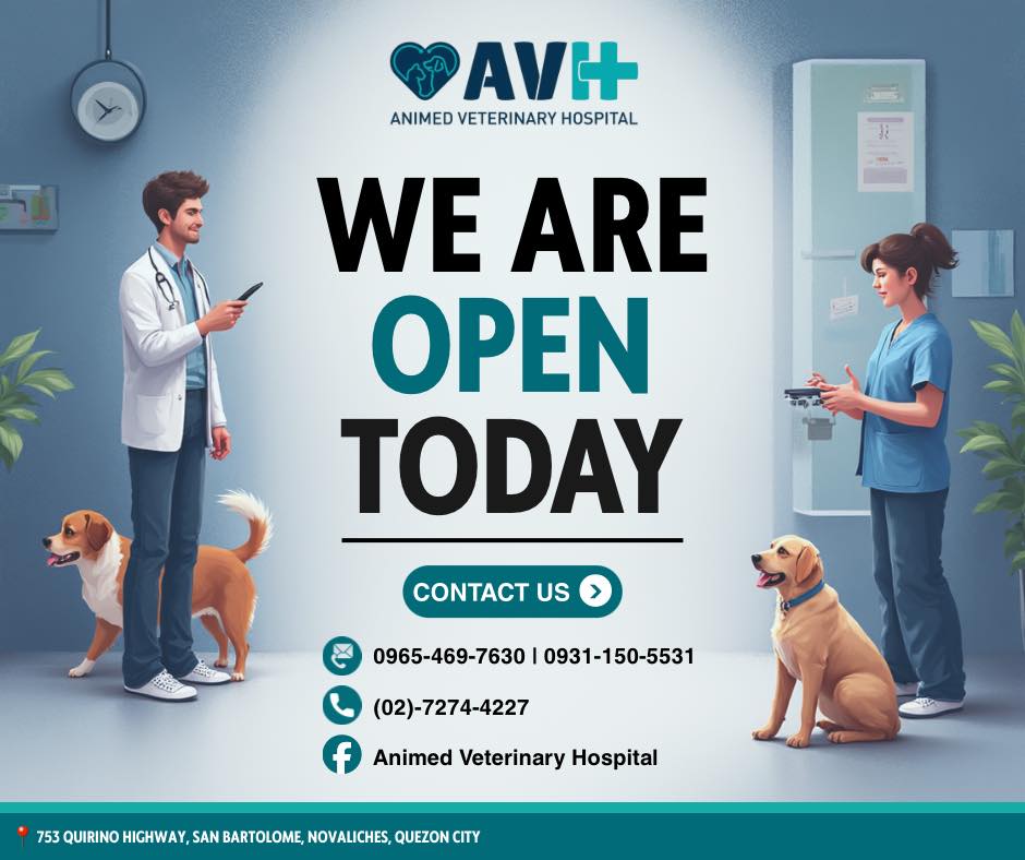 Animed - 𝗡𝗘𝗪 𝗖𝗟𝗜𝗡𝗜𝗖 𝗔𝗡𝗗 𝗚𝗥𝗢𝗢𝗠𝗜𝗡𝗚 𝗦𝗖𝗛𝗘𝗗𝗨𝗟𝗘: Our veterinary clinic is ...