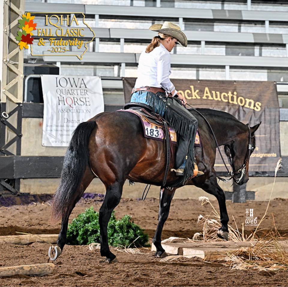 Congratulations Matt Podany... - Bonner Performance Horses | Facebook