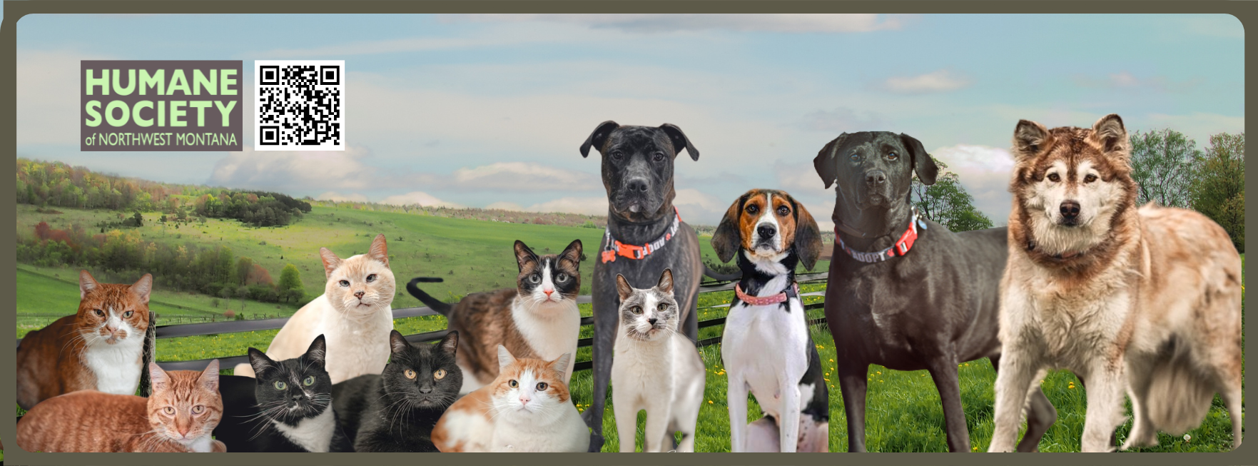 Humane Society of Northwest Montana | Kalispell MT