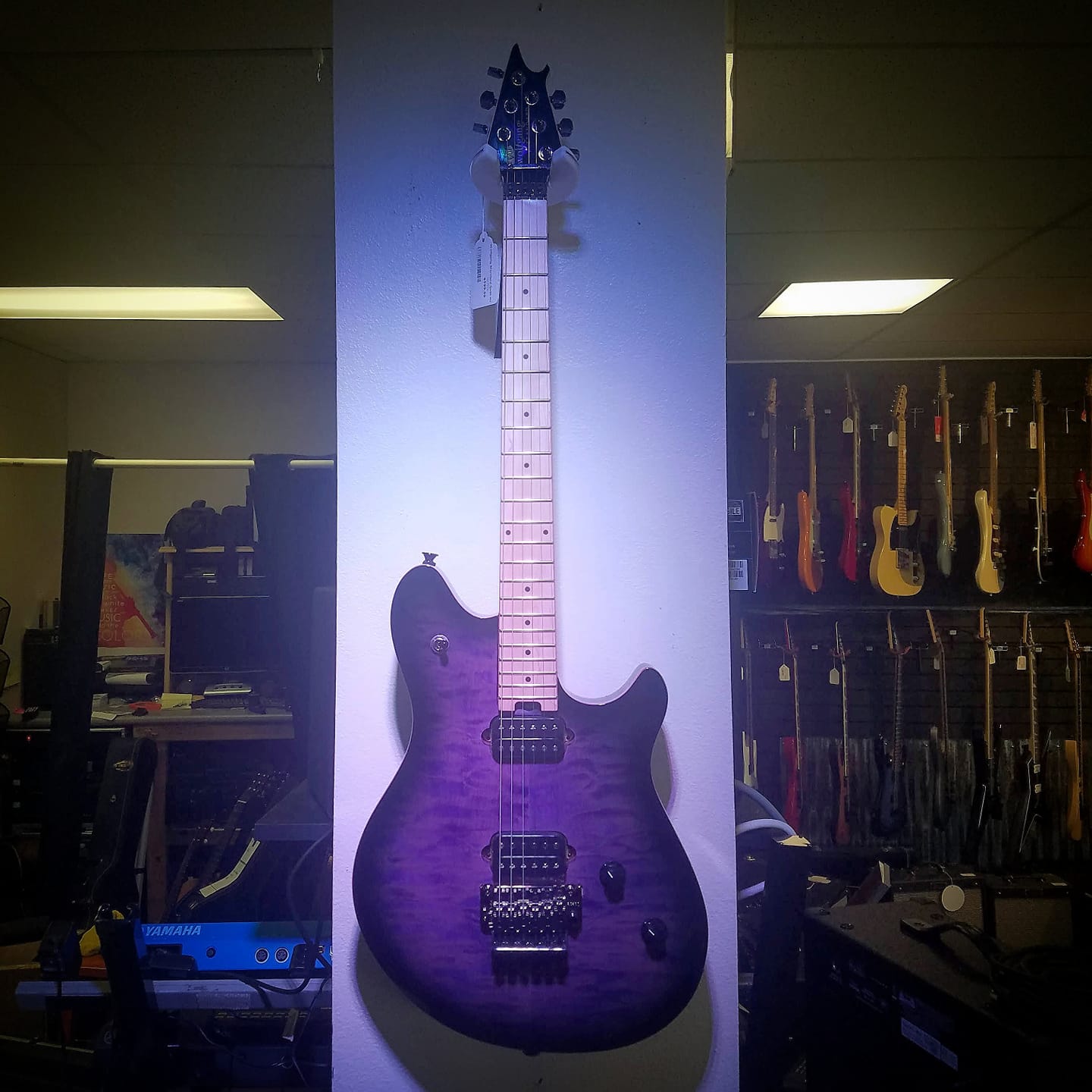 EVH wolfgang STD.をベースにした パープルバンブルビー