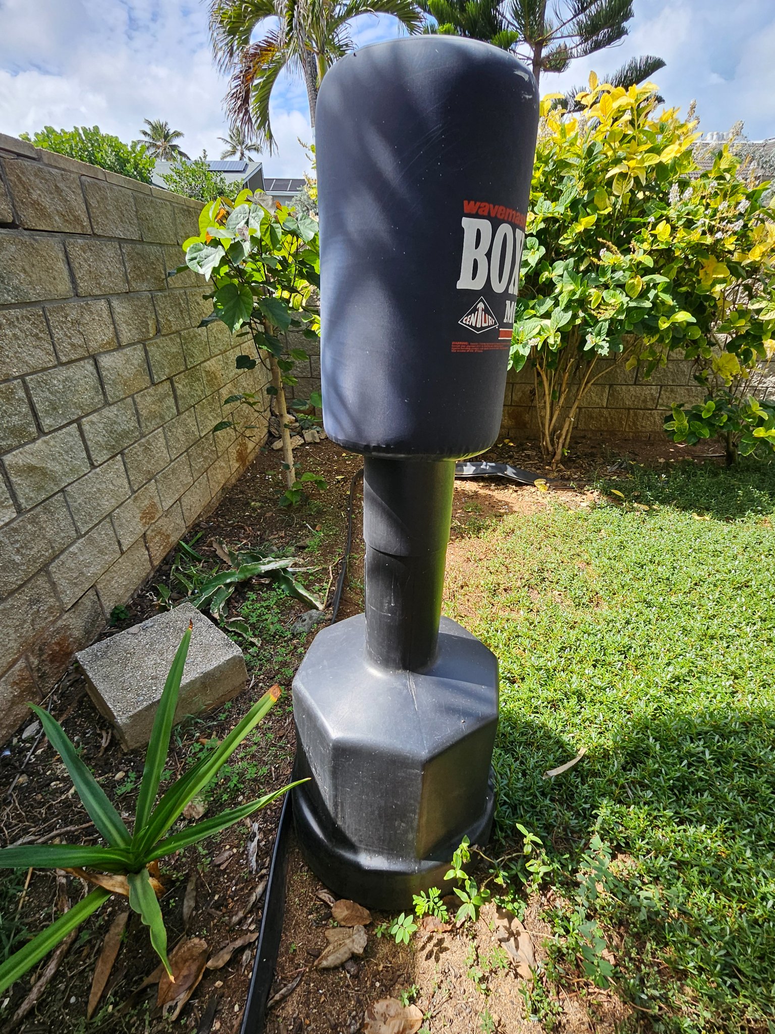 Wavemaster Boxer Century Model - Boxing & Martial Arts - Kailua ...