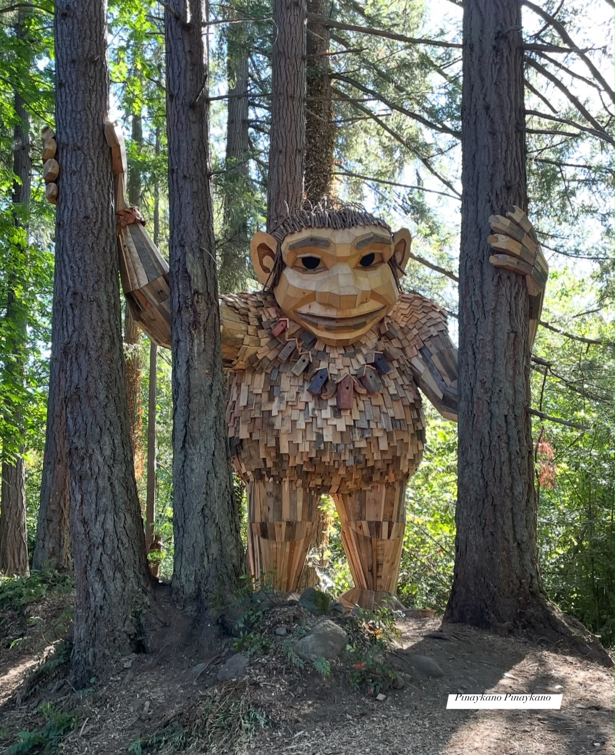 Meet Jacob Everear, a giant troll in Wannigan Regional Park