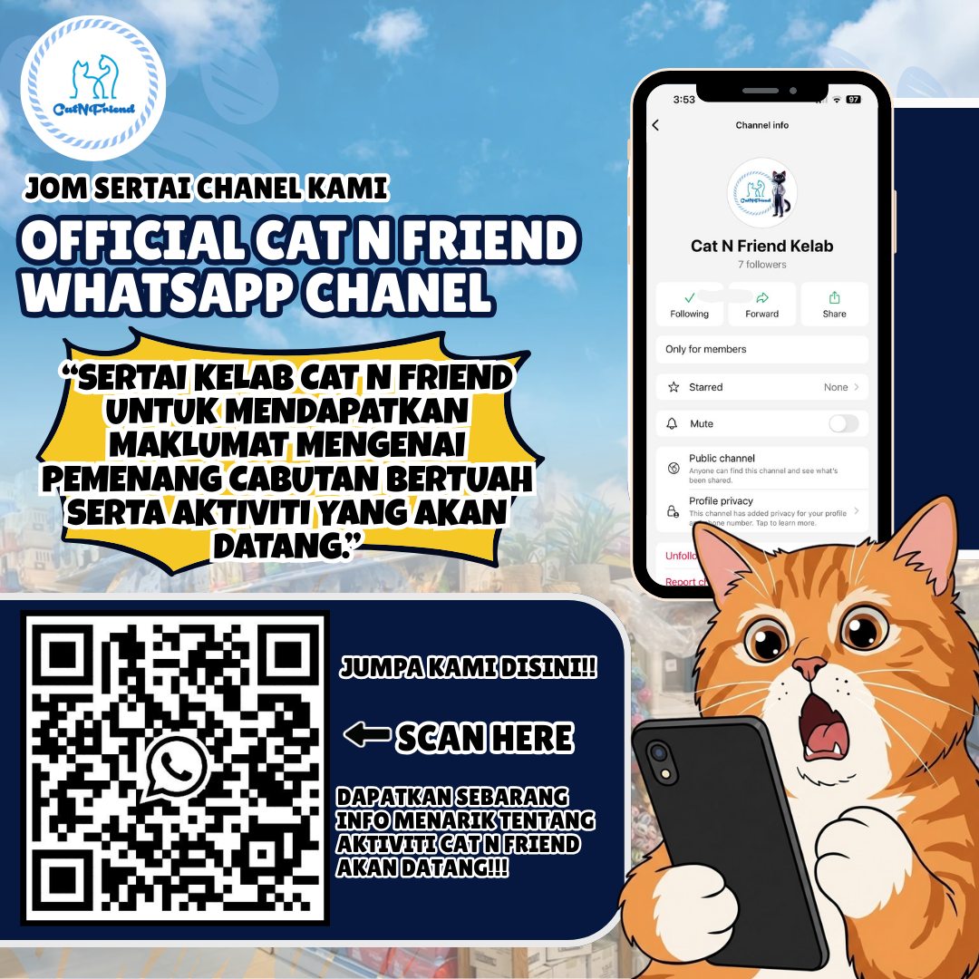 Cat N Friend | Johor Bahru
