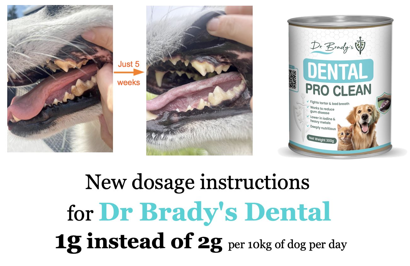 Dogs - We are a decade in the natural tooth cleaning business and our ...