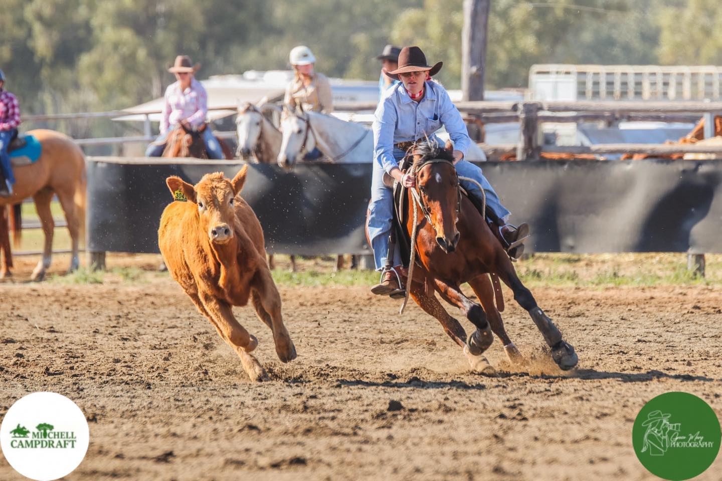 Mitchell Campdraft Association | Mitchell QLD