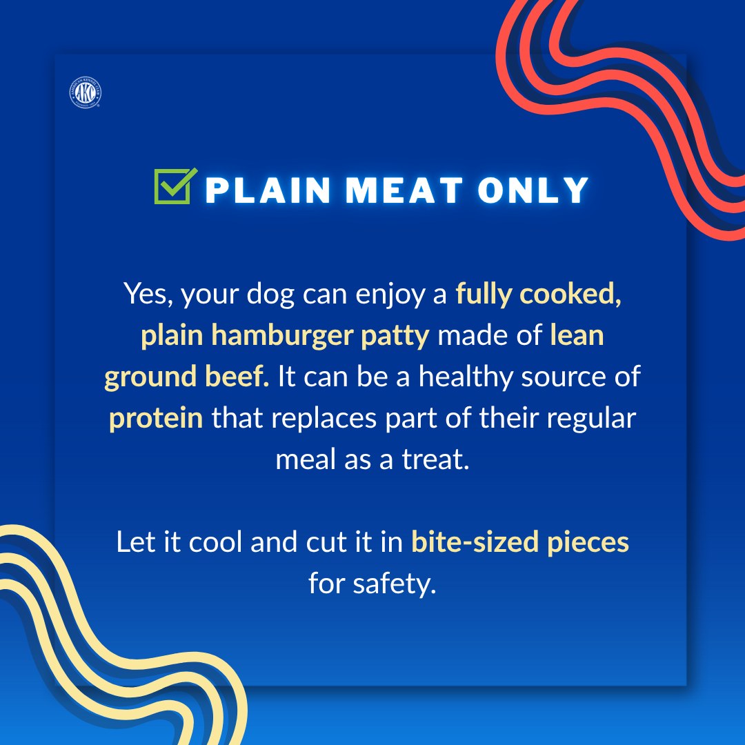 You may want to think twice before giving your dog this classic