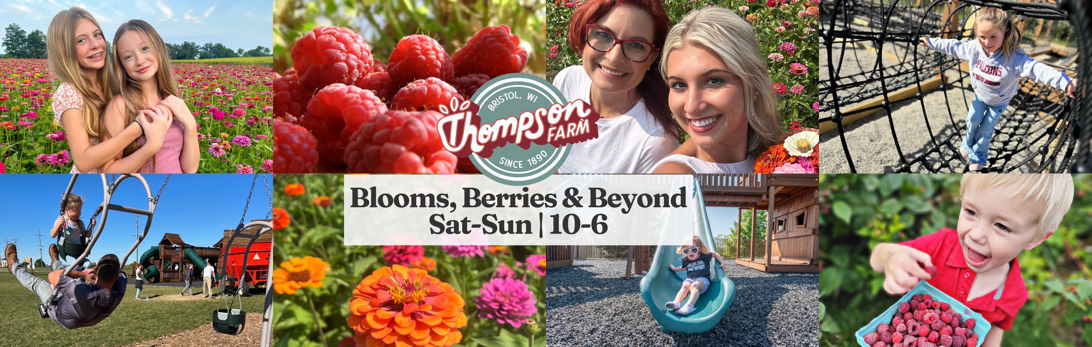 Blooms, Berries & Beyond 🌸