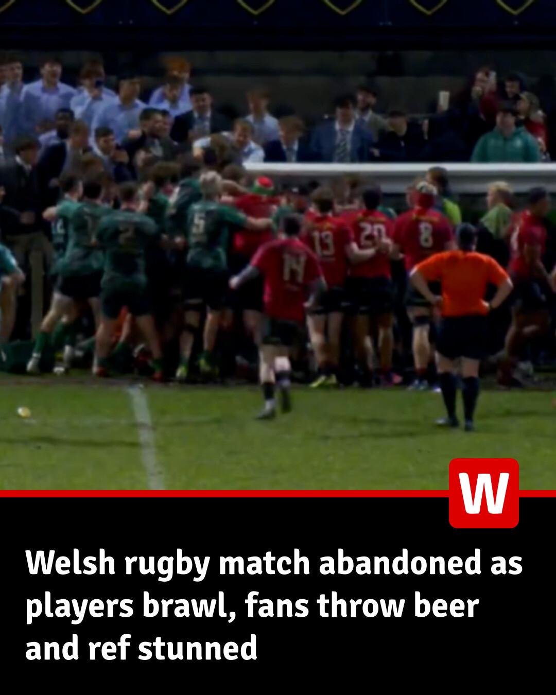 WalesOnline - The referee was appalled by what unfolded... | Facebook