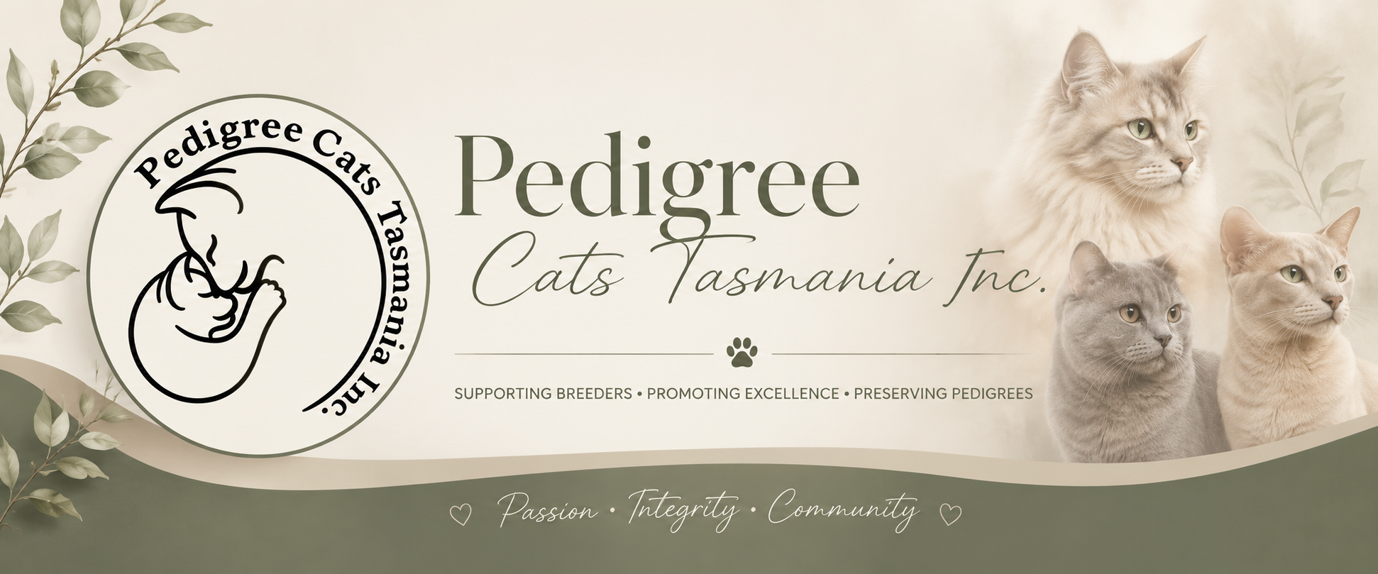 Pedigree Cats Tasmania Inc