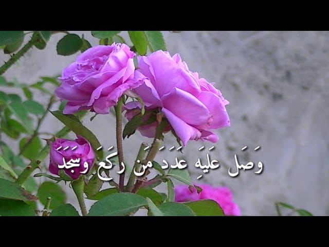 Mostafa Riyad