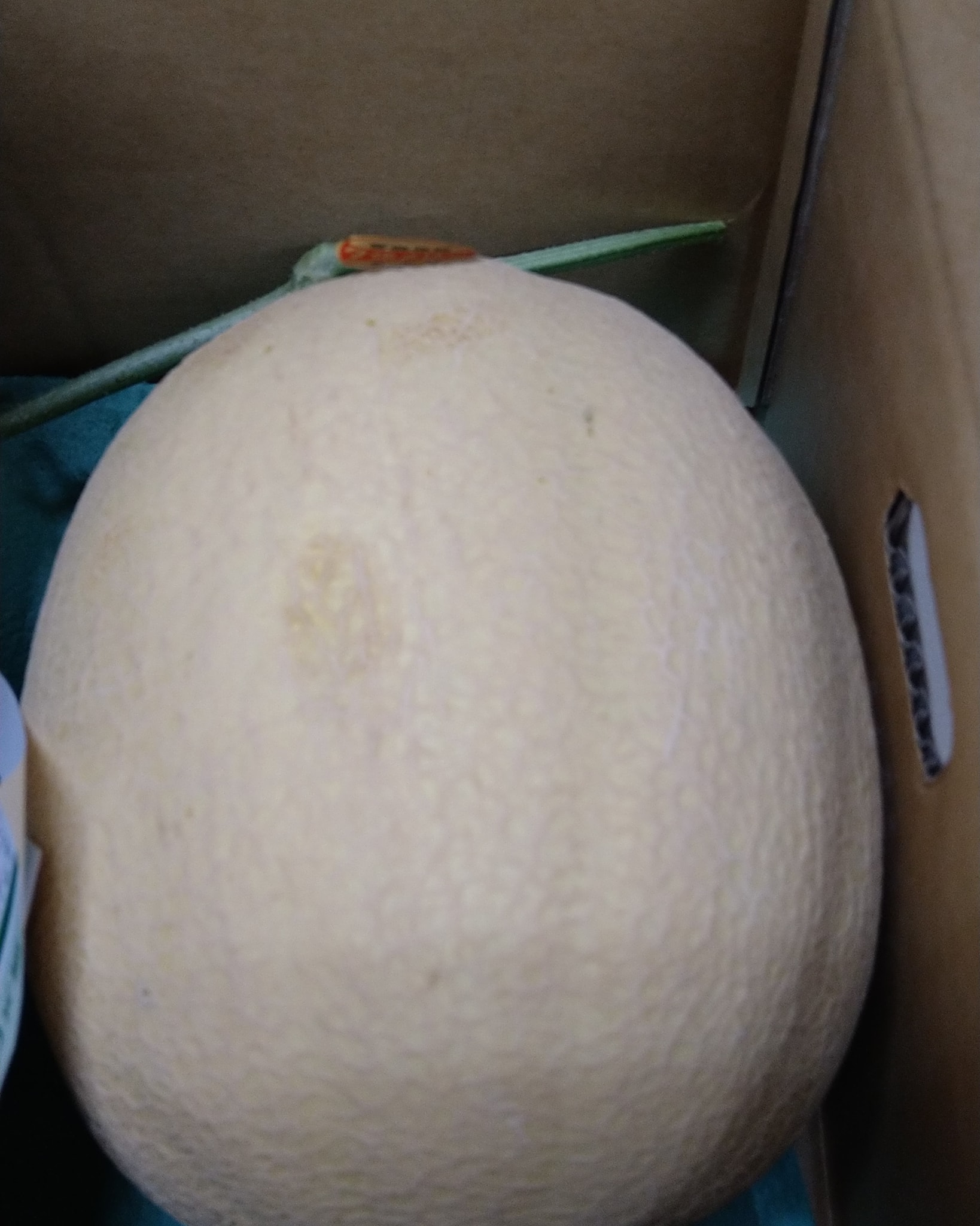 ロケットパンチ - ロケットパンチ added a new photo.