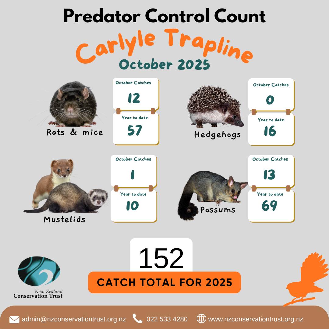 New Zealand Conservation... - New Zealand Conservation Trust