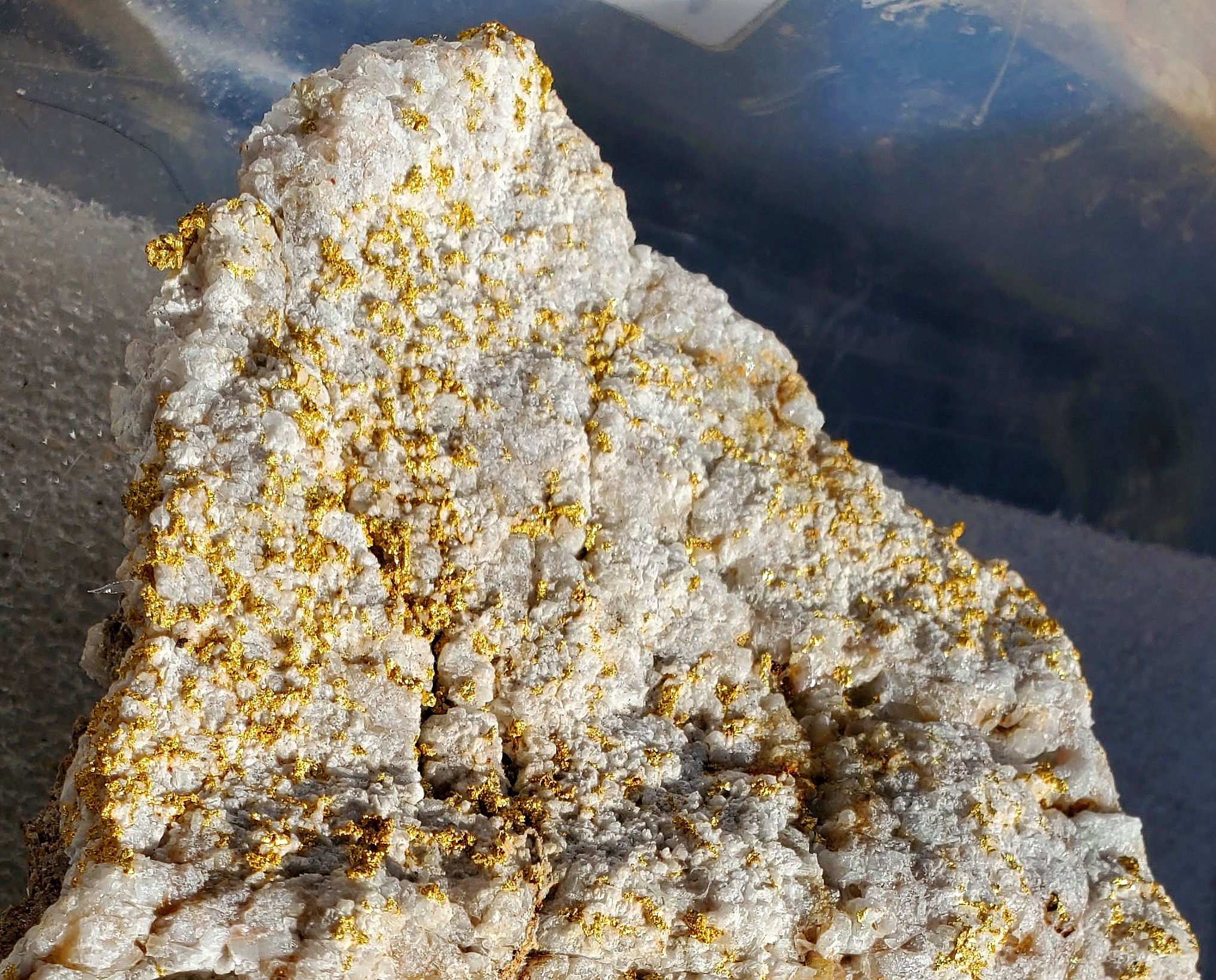 Close up of rich visible Gold on quartz from a vein in Mariposa