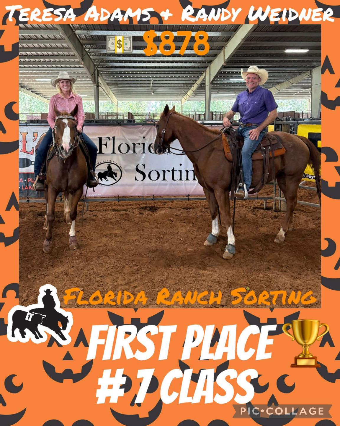 Cochran Performance Horses... - Cochran Performance Horses