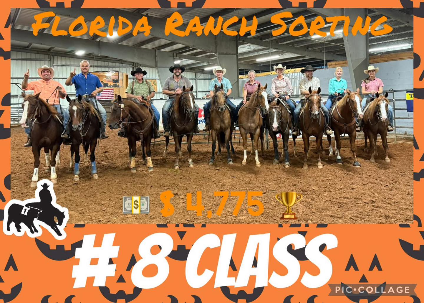 Cochran Performance Horses... - Cochran Performance Horses