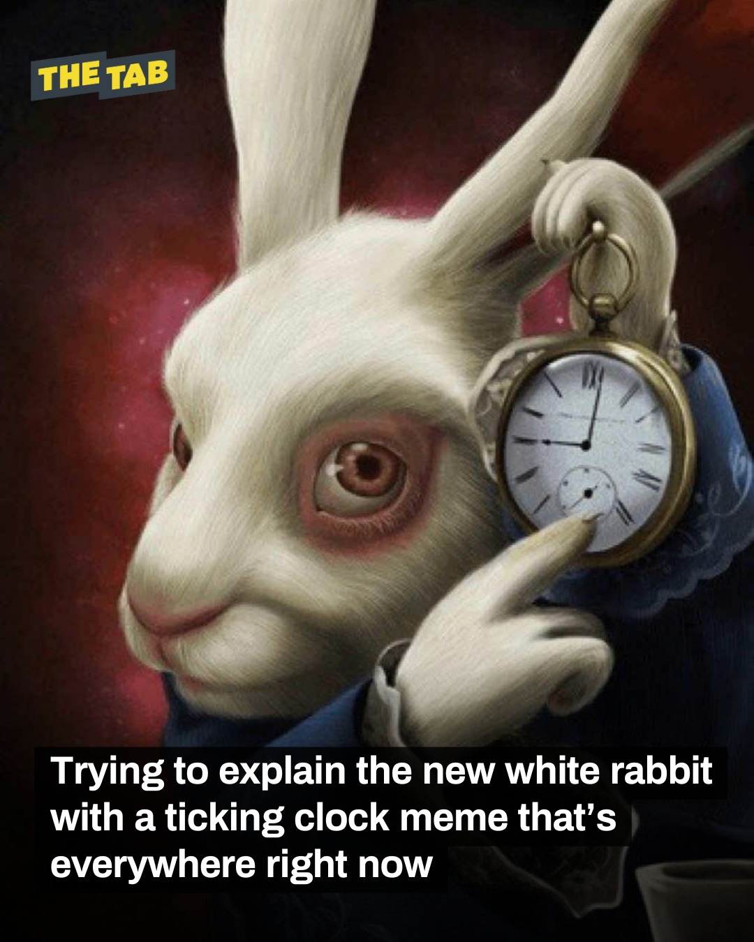 The Tab - I have seen this rabbit more than the people I live with this ...