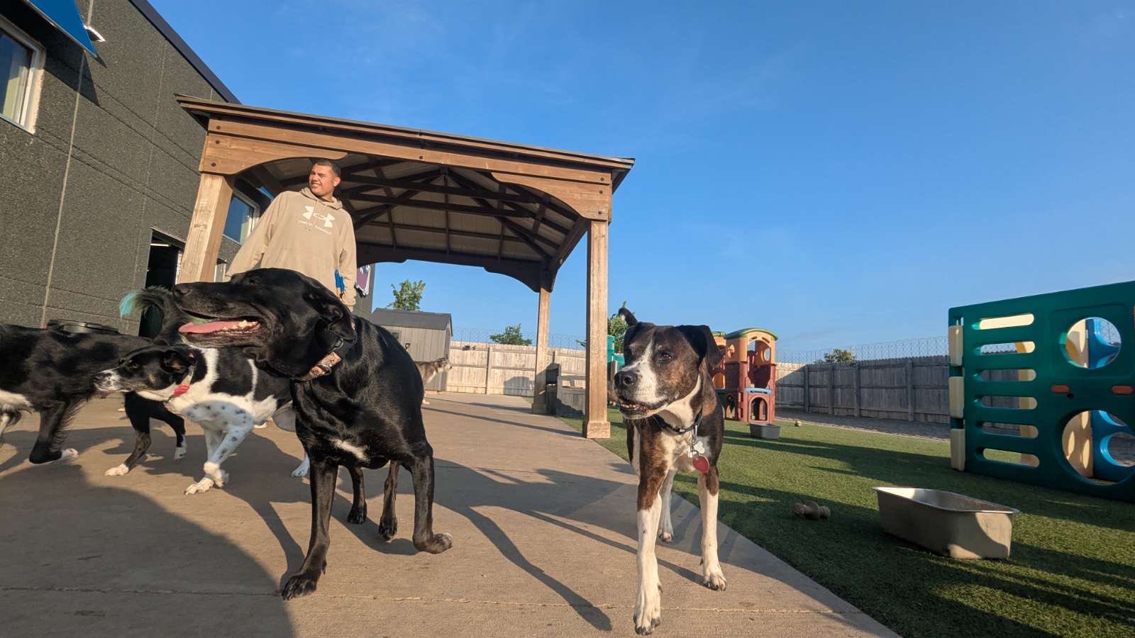 Doggie Doo's Spa & Retreat... - Doggie Doo's Spa & Retreat