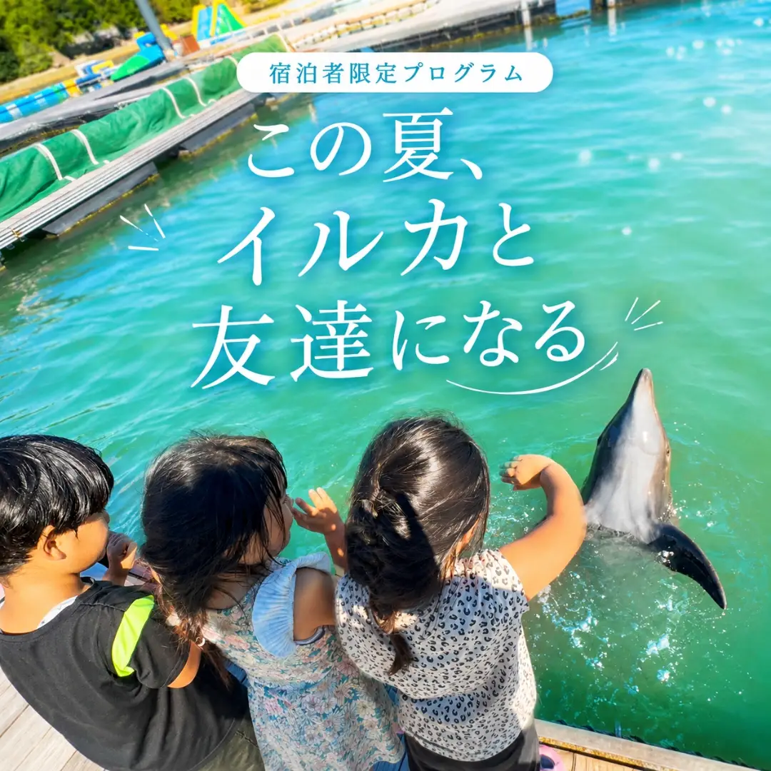 🐬新プログラム登場！🐬 マリンピアザオキナワに、宿泊者限定
