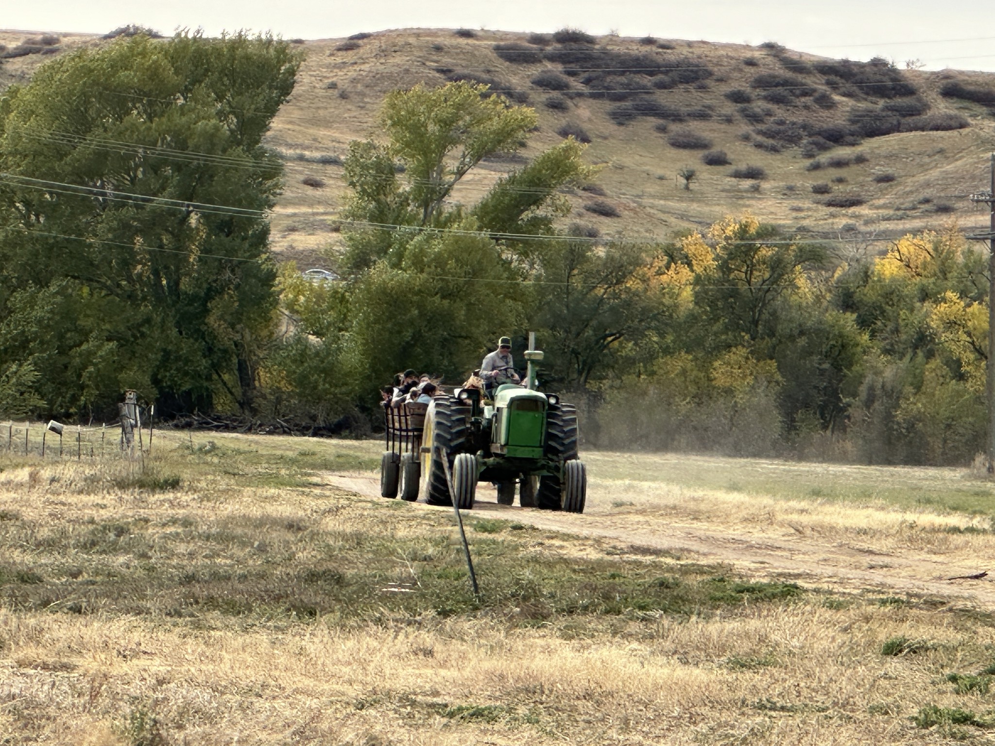 Clear Springs Ranch Hay