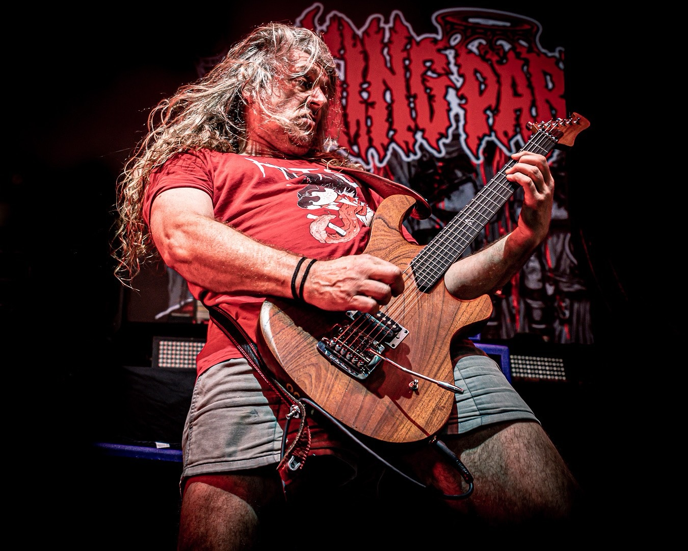 King Parrot - 🎂 Happy birthday @squiza70! Let’s all wish... | Facebook