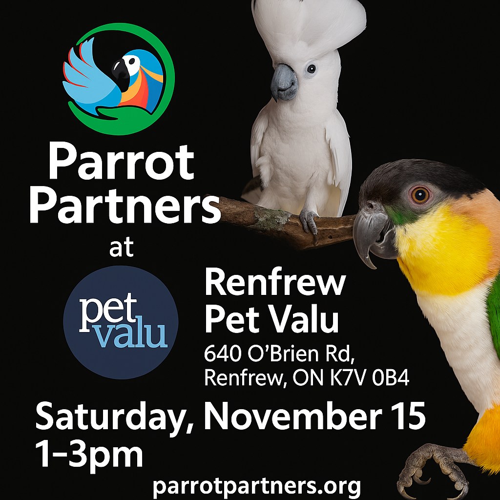 Pet Valu - 🦜💚 The Parrots are coming to Pet Valu Renfrew!... | Facebook