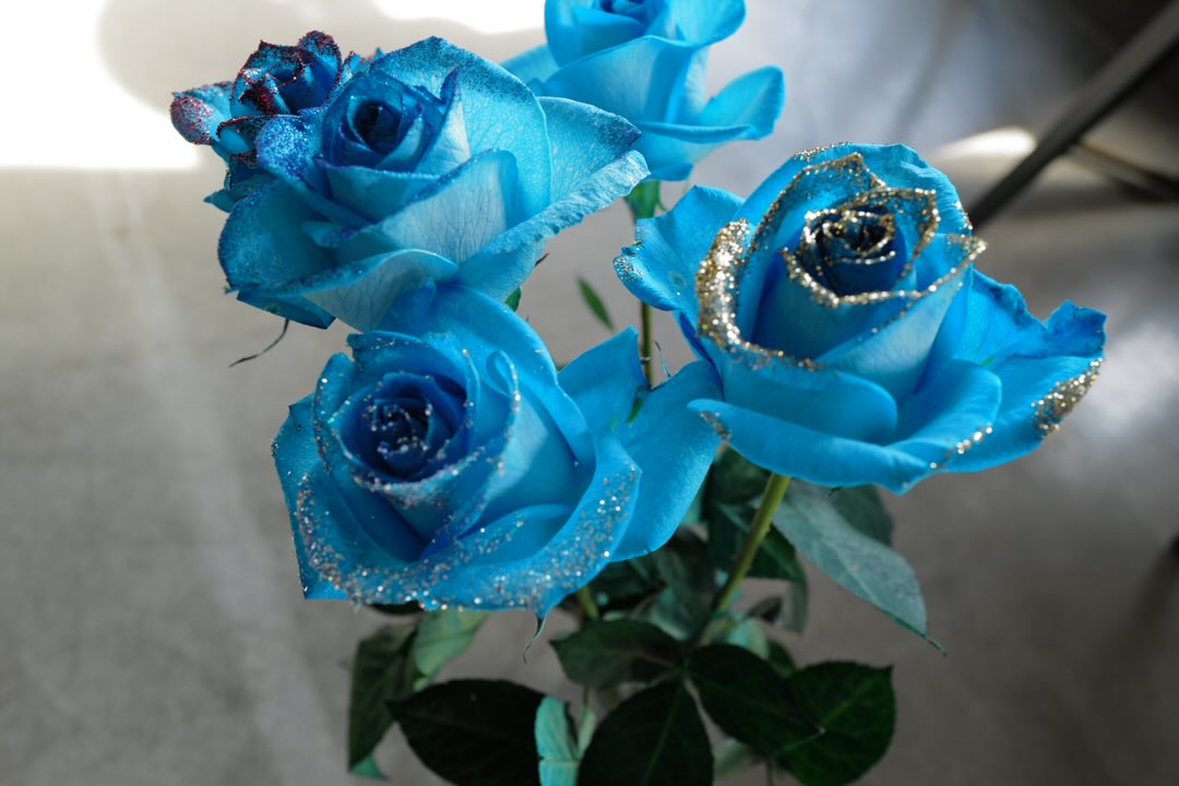 他にはない特別なバラを日本全国にお届けします ROSE SHOP 0266-28-1188