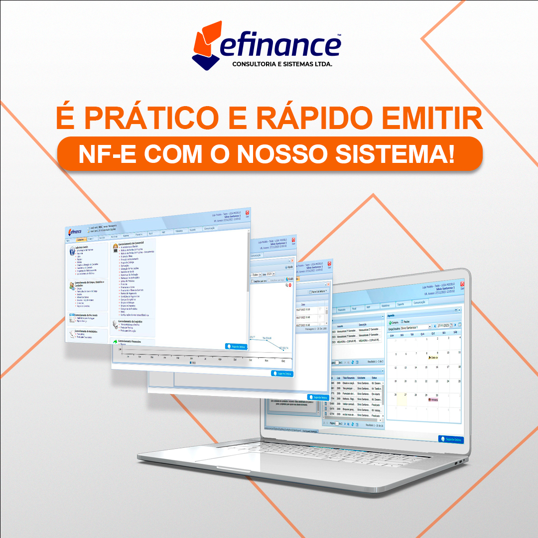 eFinance - Emitir nota fiscal representa burocracia? Não...