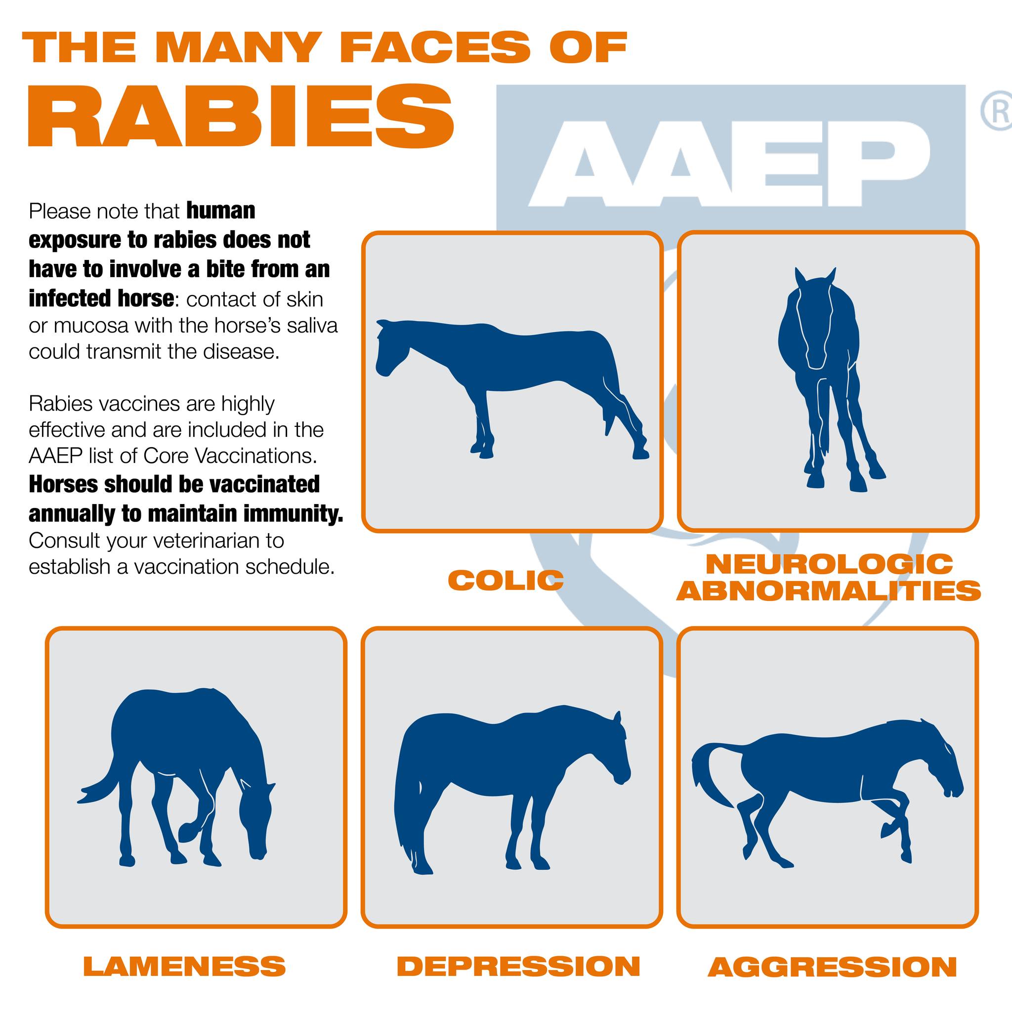 Anoka - September 28th is National Rabies Day. But what is rabies and ...