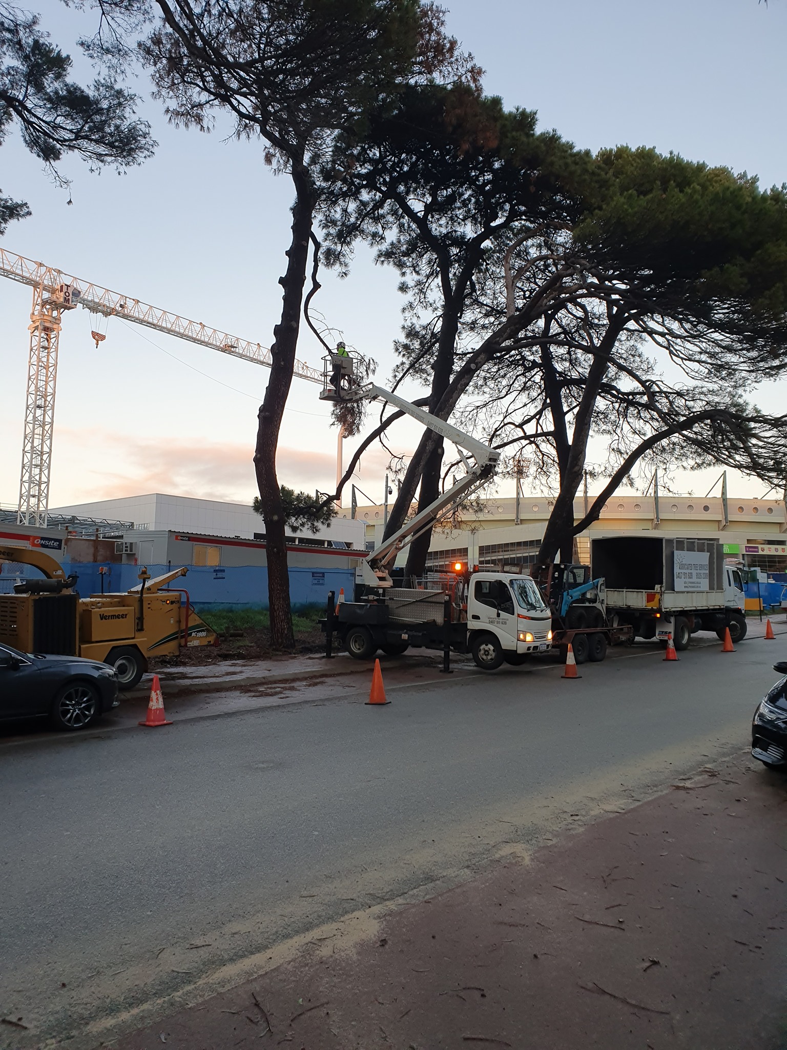 Associated Tree Services | Cardup WA