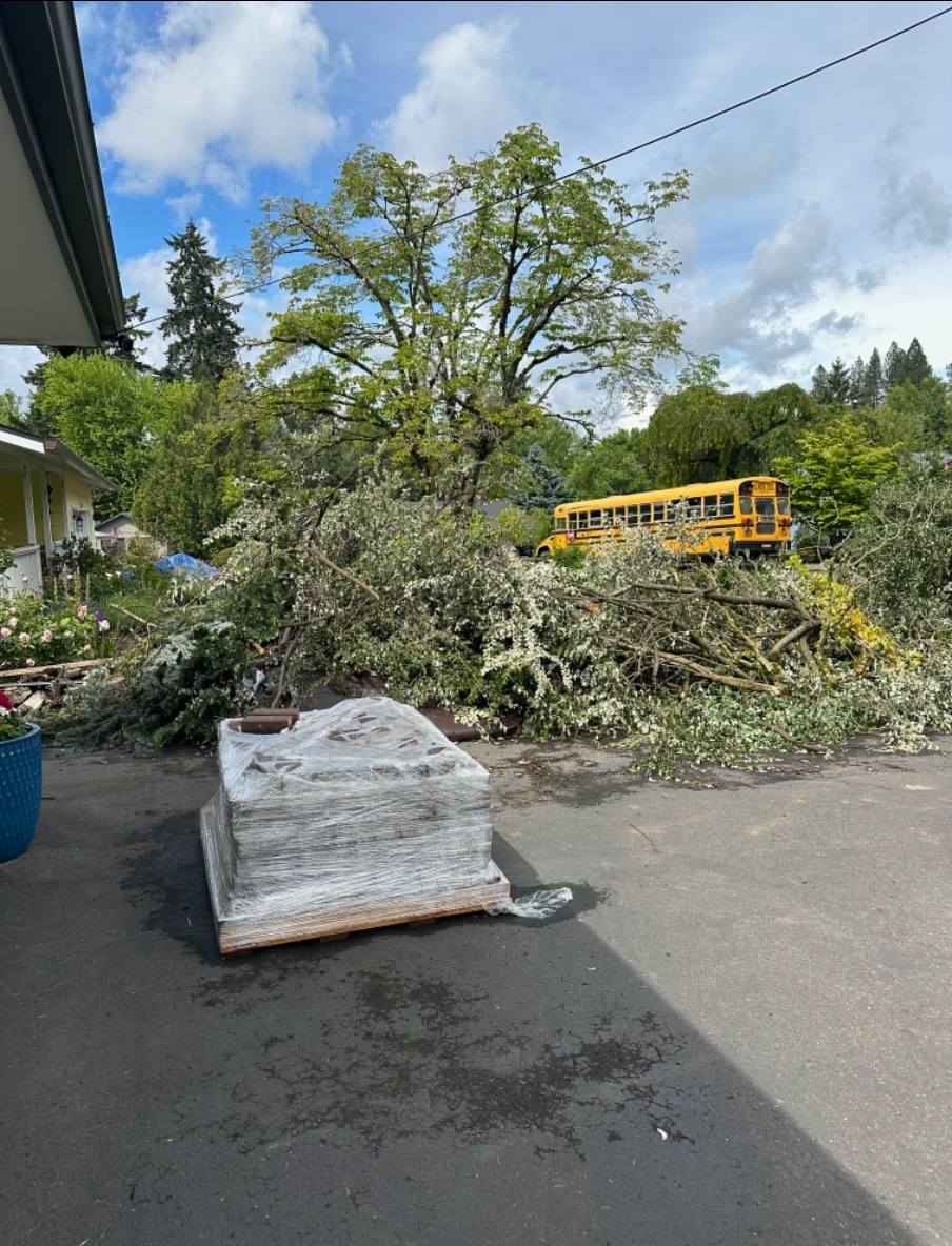 Quality Performance Tree Service,LLC | Tulatin OR