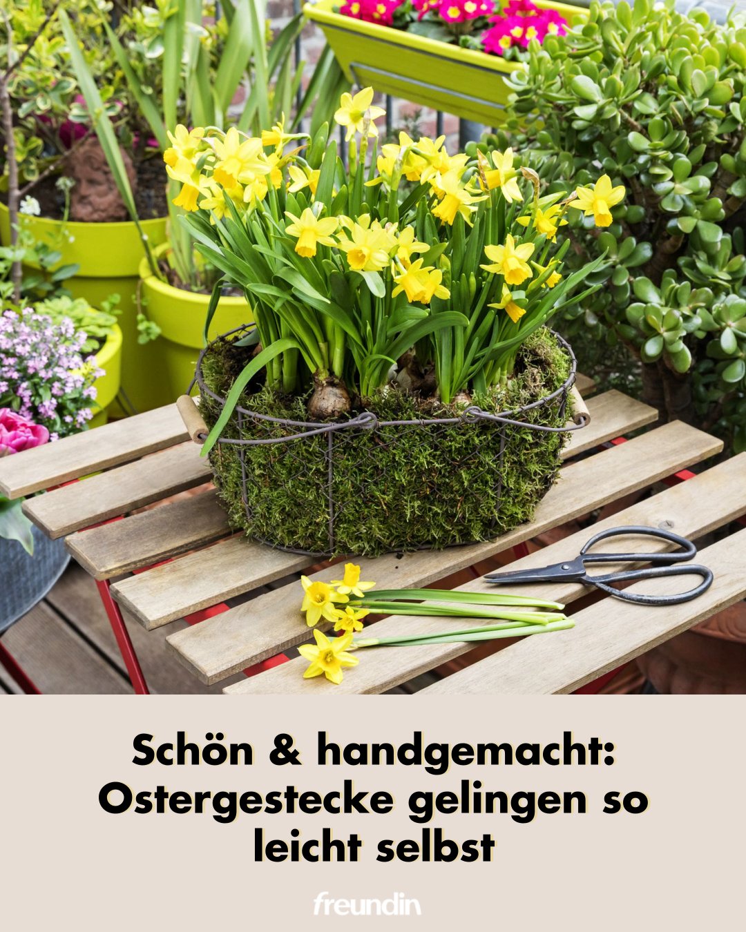 neue küche Neuheiten und Küchentrends 2026 Blumen Farbe:Rosa & Violett Töne