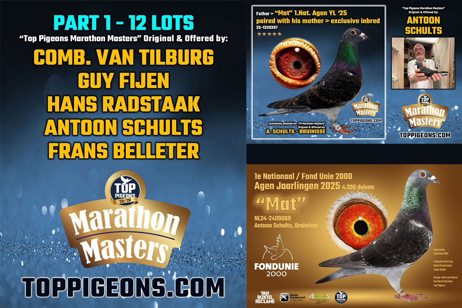 toppigeons-deel-1-tip-klik-tik-https-auctions-toppigeons