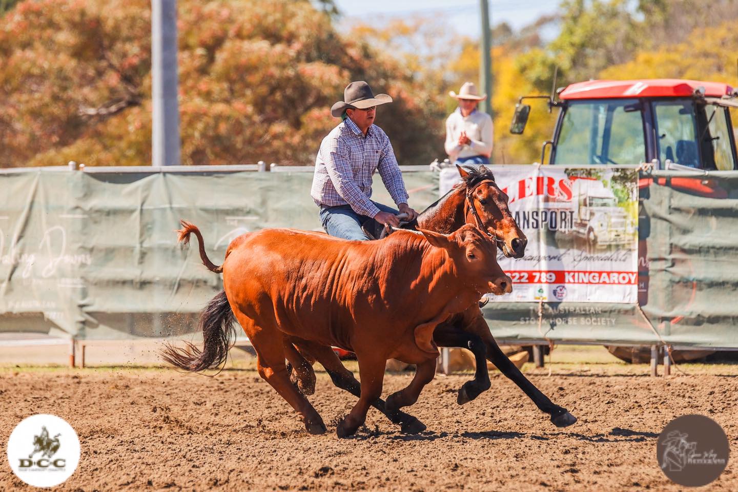 Dalby & District Campdraft
