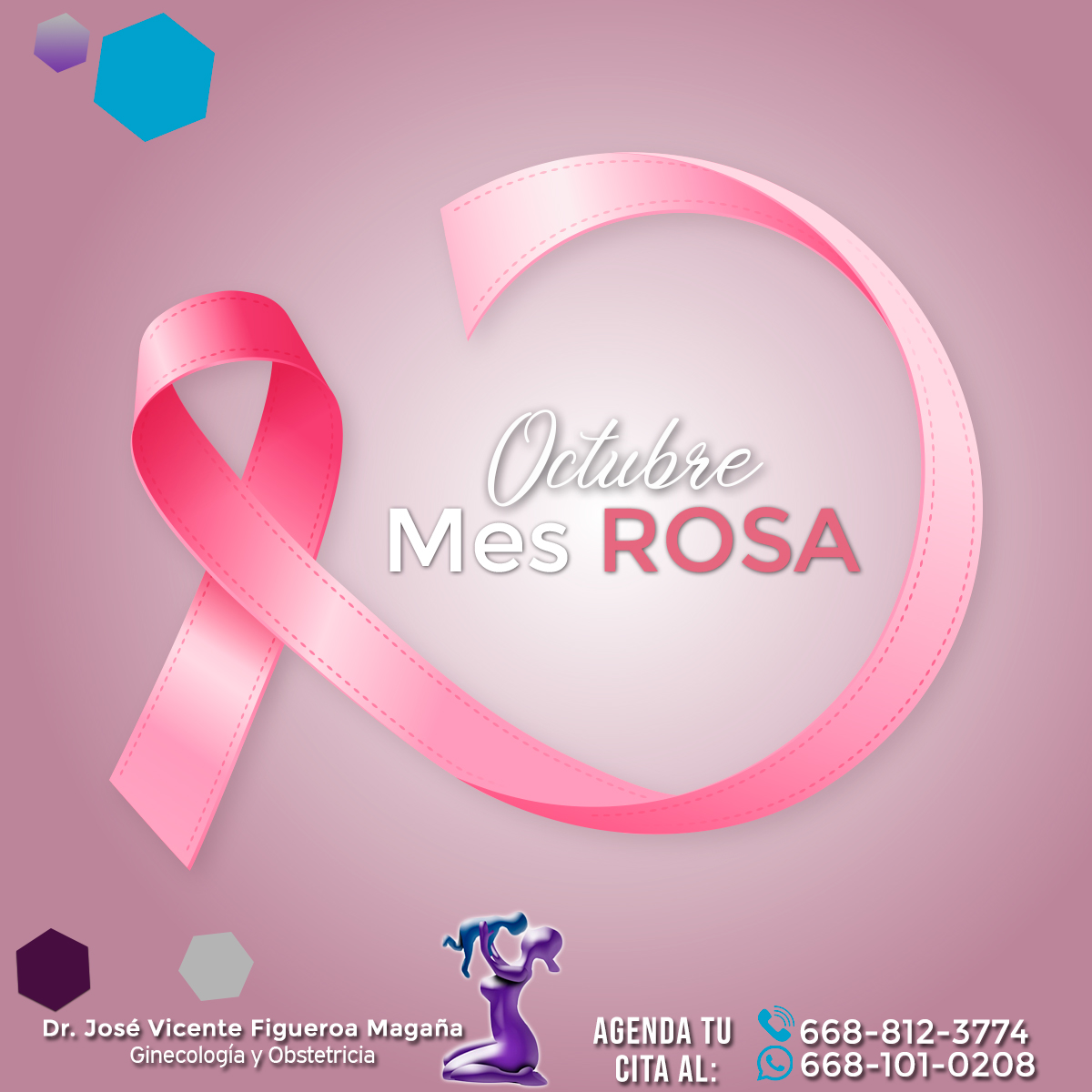El mes de octubre es reconocido mundialmente como el mes rosa para ...