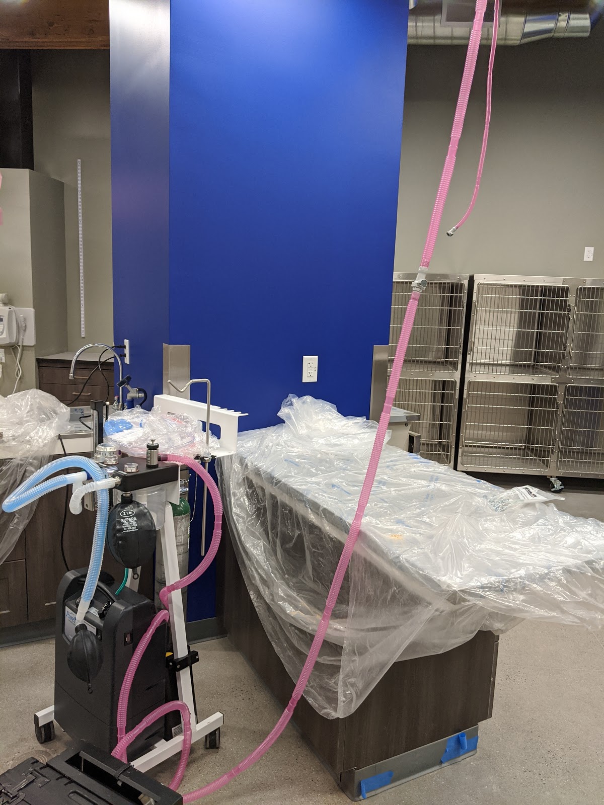 Robert's Anesthesia Repair | Golden CO
