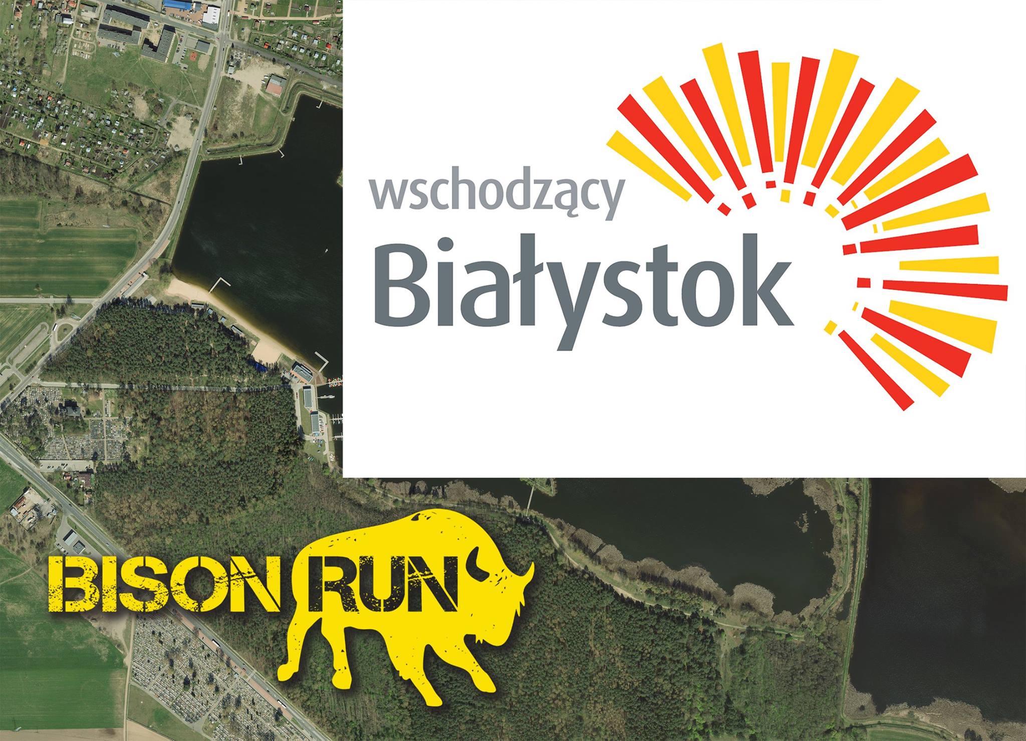 Bison Run