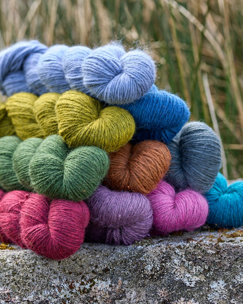 West - Do you recognise these beautiful colours? 100% Bluefaced ...