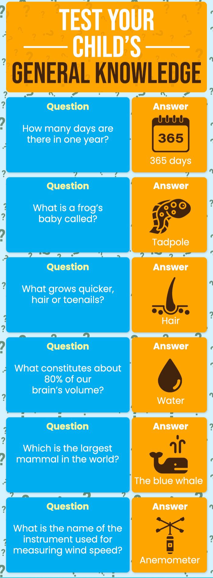 FFS - 🎯 General Knowledge Time! 🌍 Let’s test how smart you are! 🧠💡 ...