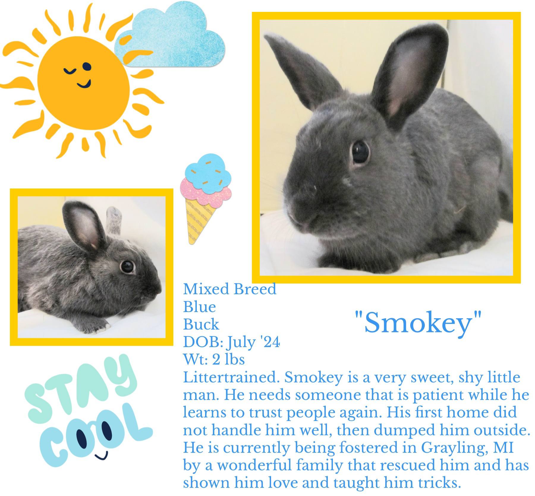 Klim's Rabbit Rescue | Lennon MI