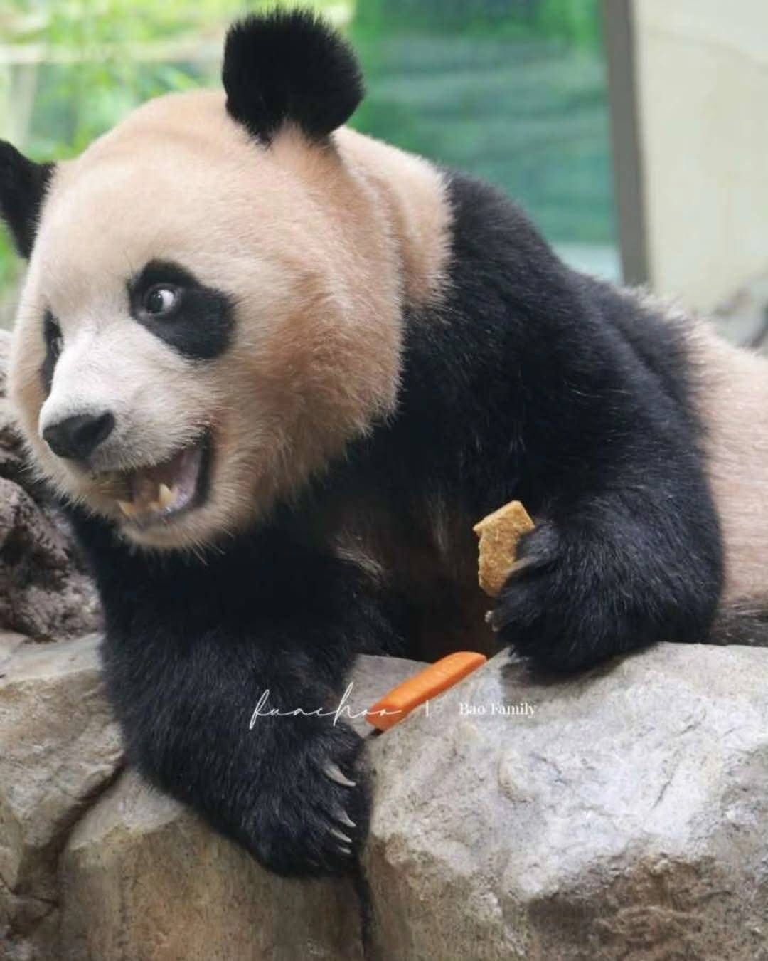 Rui Hui đáng yêu added a new photo. - Rui Hui đáng yêu