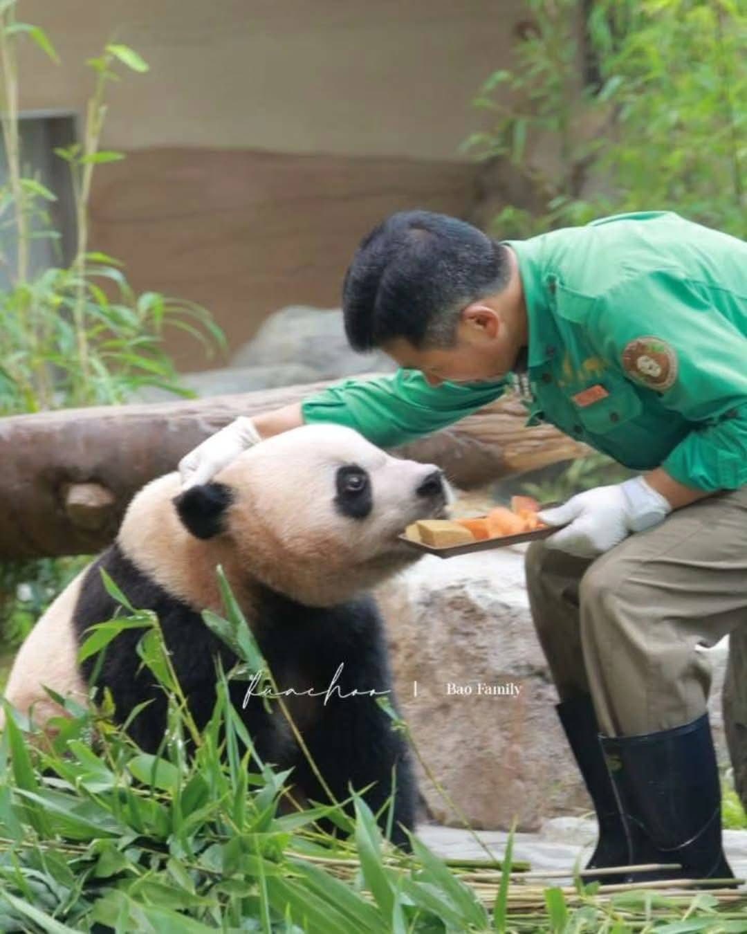 Rui Hui đáng yêu added a new photo. - Rui Hui đáng yêu