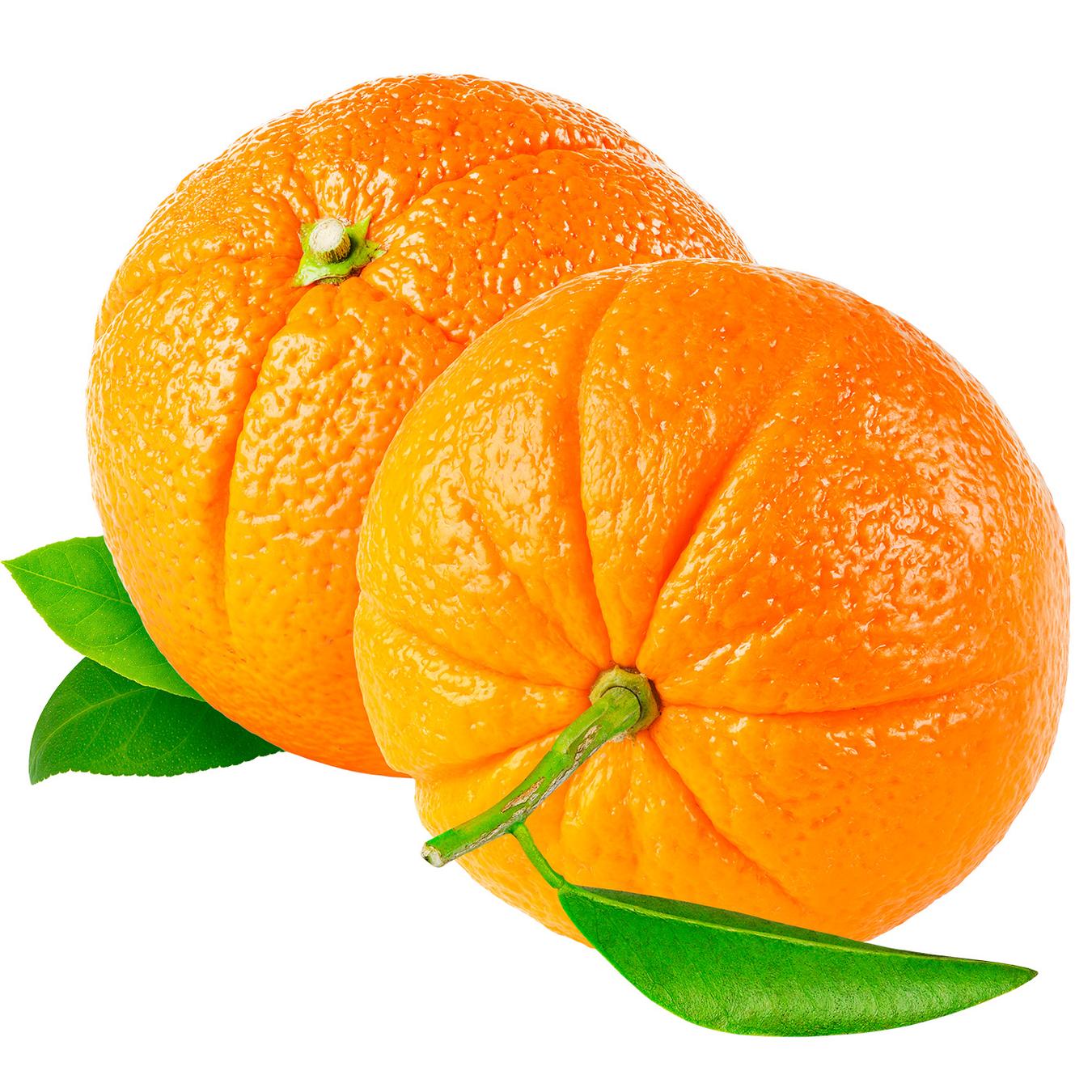 Fructe și Legume Angro | Lipcani