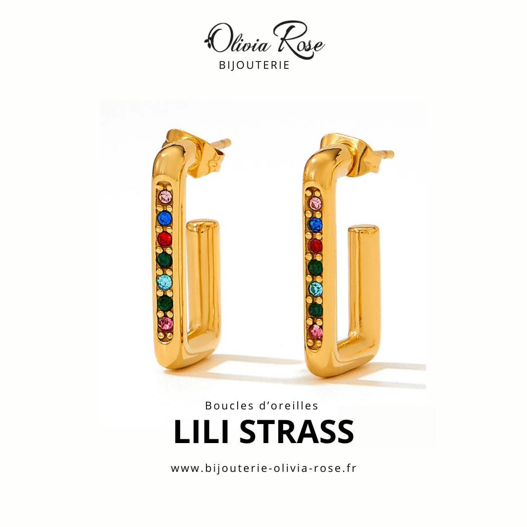 Boucles D'oreilles LILI LA PIE – Modèle Occasion, Bijou Fantaisie Porté, à Petit Prix