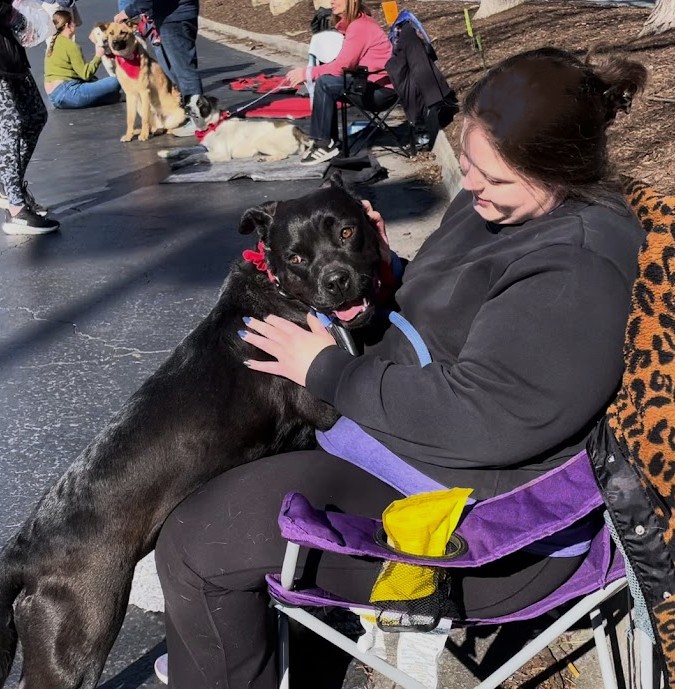 Atlanta Lab Rescue