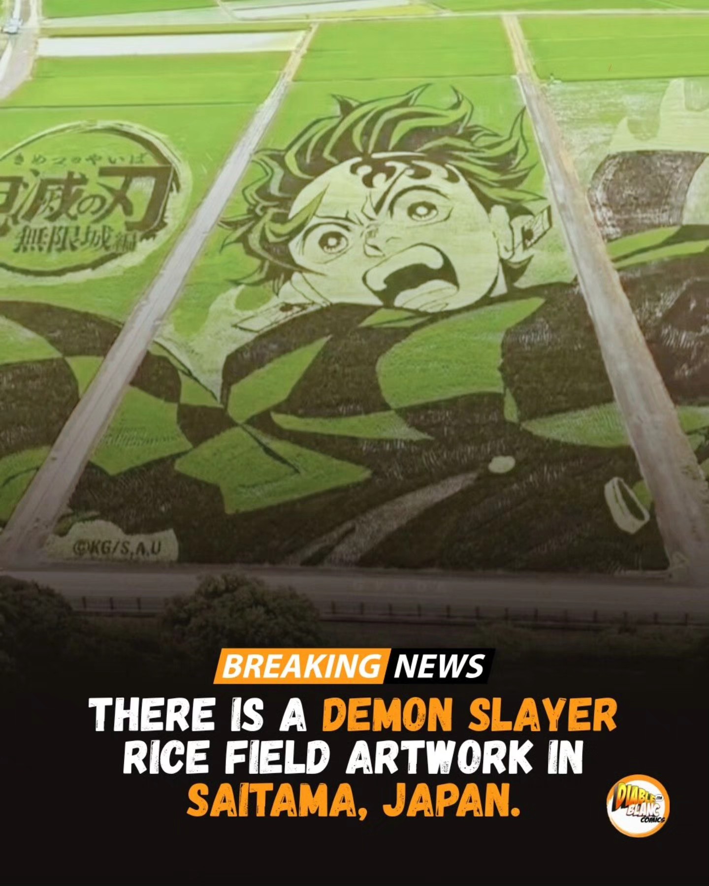 🚨 Gyoda City’s iconic Rice Field... - diableblanc-comics.com | Facebook