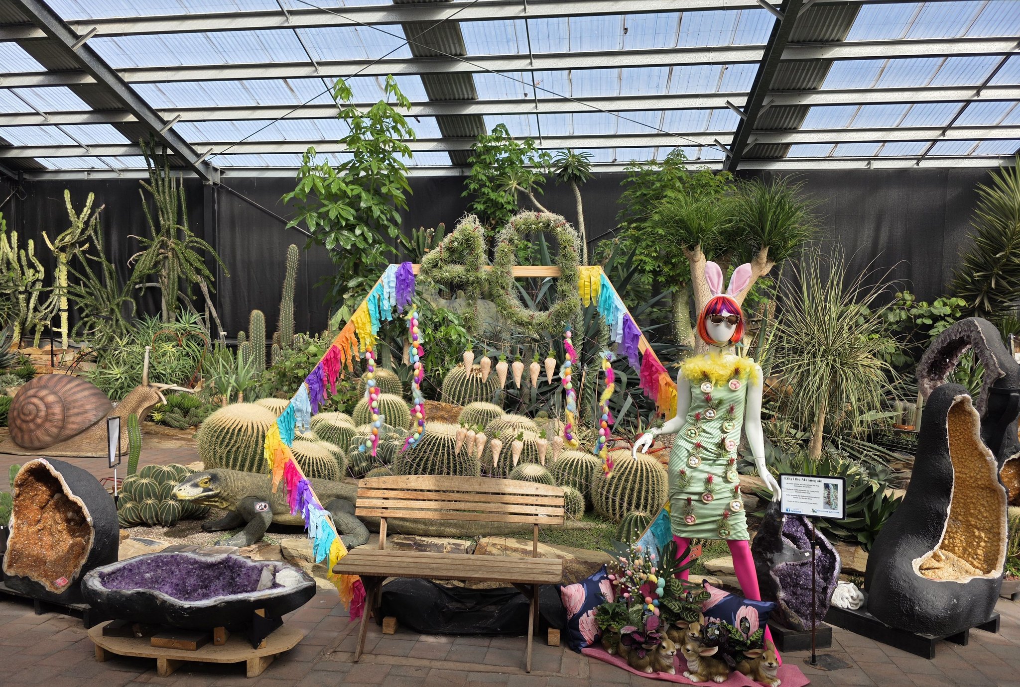 Interesting The Plant Guy Gallery