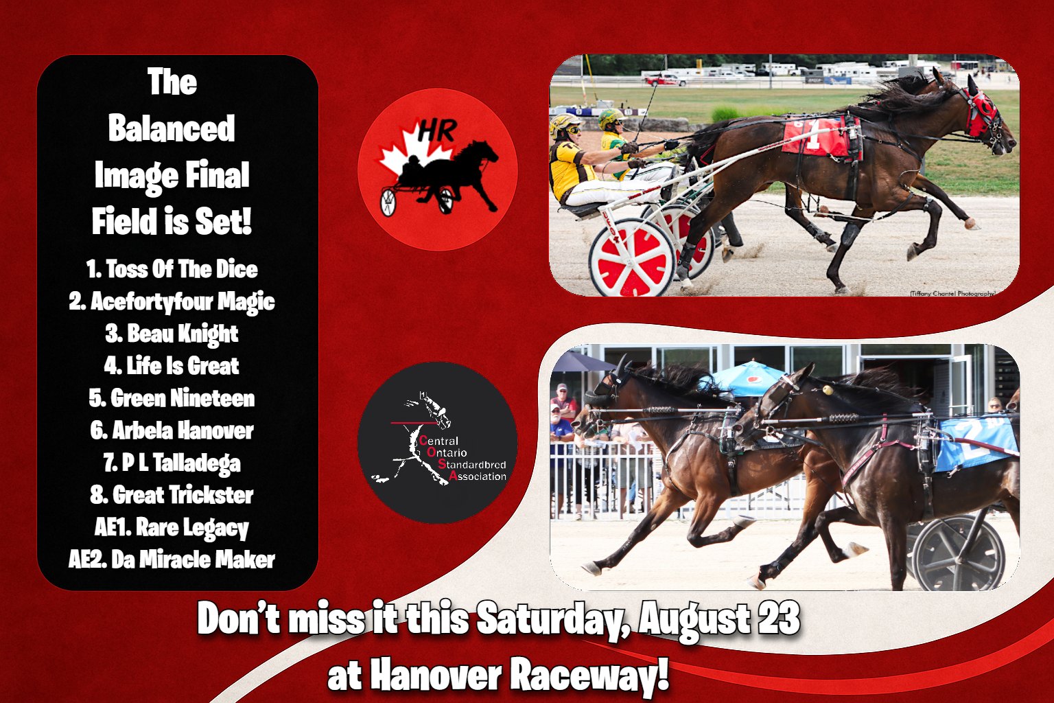 Central - 🏆🐴 The Balanced Image Final Field is Set! 🐴🏆 The field is ...