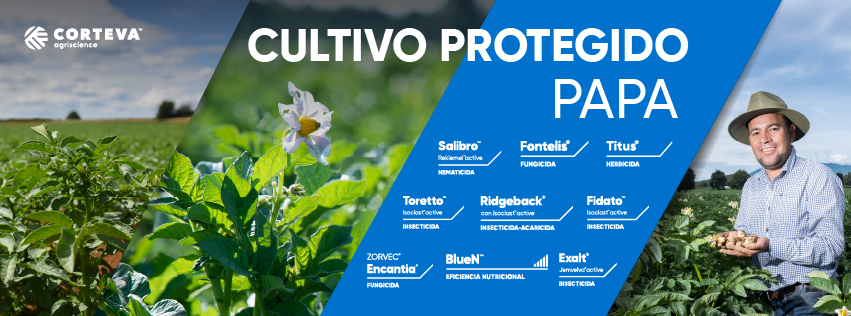 Corteva - Vydate® L, es un insecticida sistémico para aplicación de ...